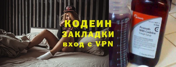 гашик Арсеньев