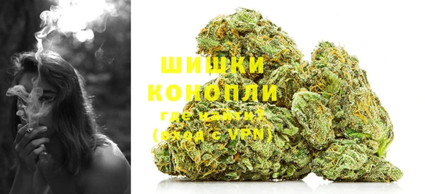 МДПВ Михайлов